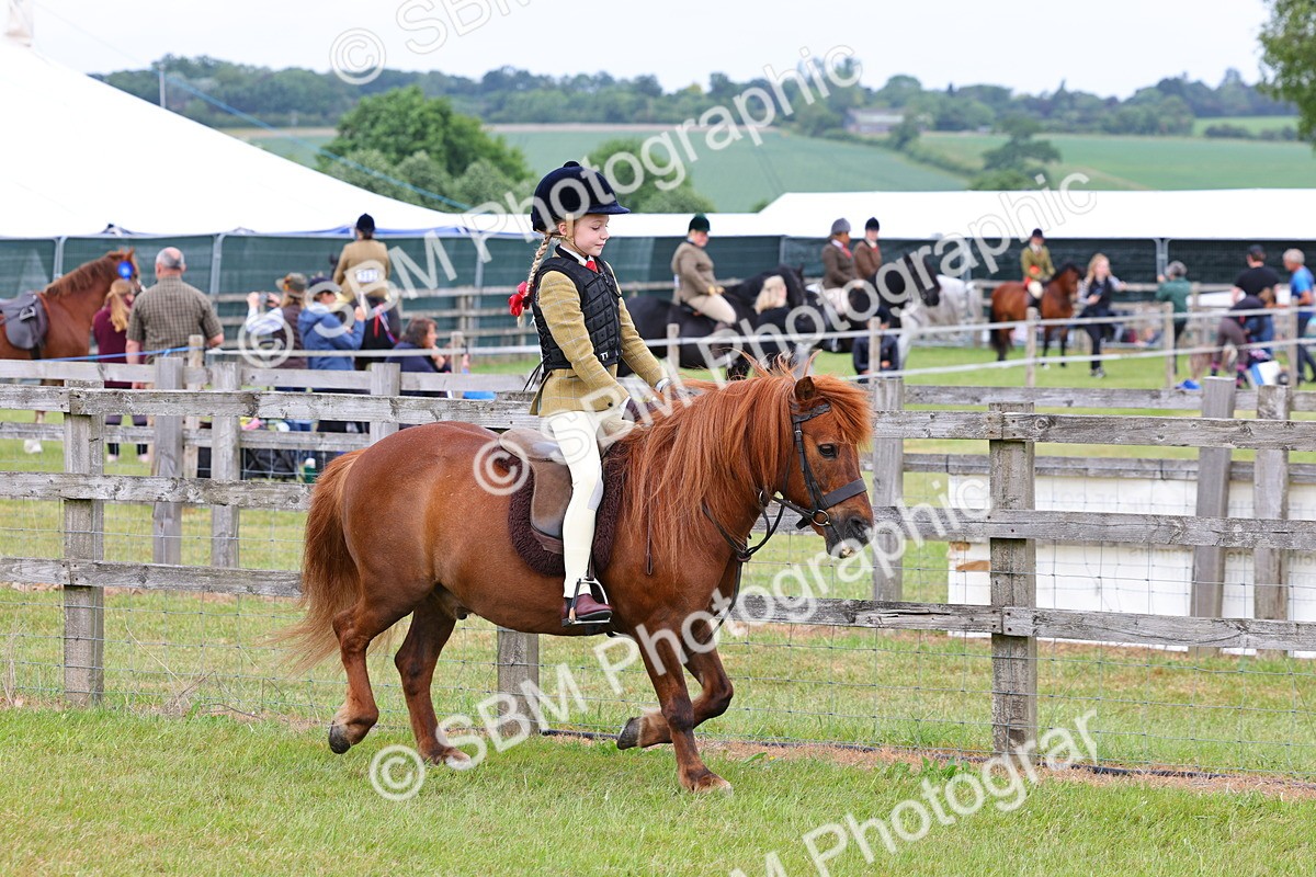 SBM_08506 - Class 42-43 - LIHS BSPS Heritage Working Sports Pony