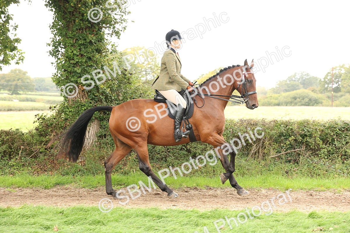 SBM_64203 - S65 - Riding Horse & Hack & Thoroughbred Ridden