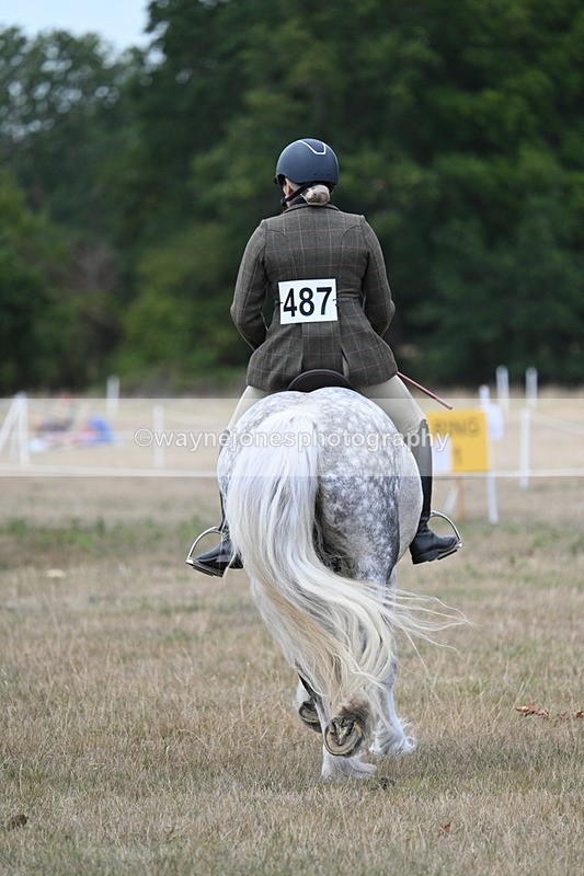 WJ7_4931 - Class 12 Ridden Cob