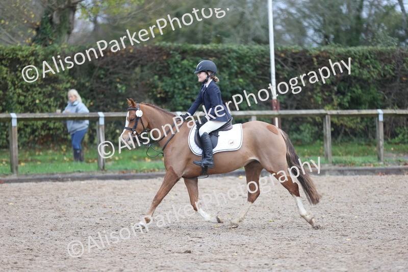 20251116-0082 - Class 1 - 60cm