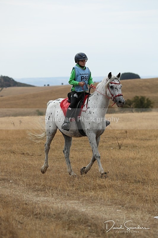 SPXX2270 - P66