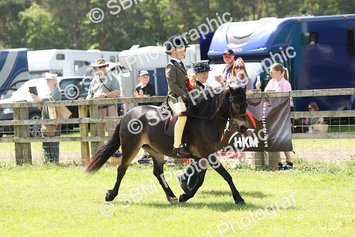 SBM_05296 - Class 24-25 - Mountain & Moorland In Hand Lead Rein and First Ridden