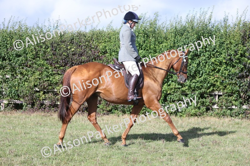 20250831-0907 - Class 14 - Ex Racehorse
