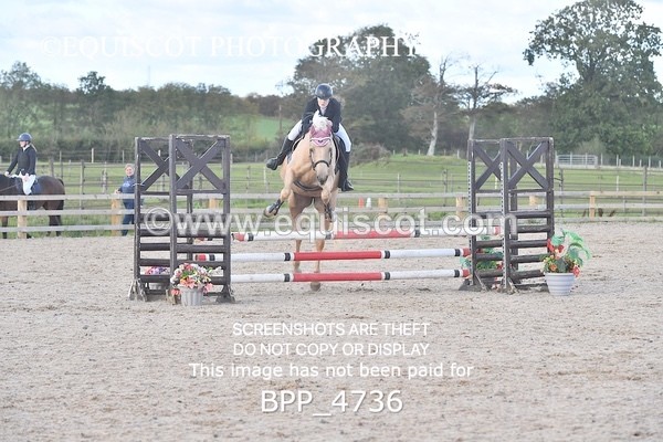 BPP_4736 - CLASS 12 HORSE 80CM FINAL