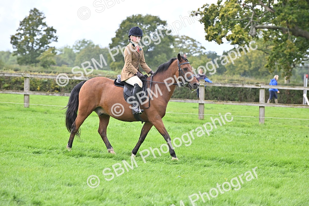 SBM_44461 - S13 - Pony Club Pony