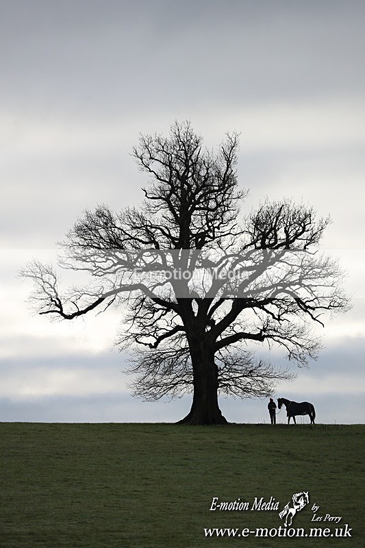PtP 291224 69 - Harkaway Club PtP Chaddesley Corbett 29/12/24