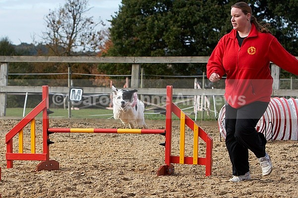  - Greenstead Green Farm Shop Animal Open Day