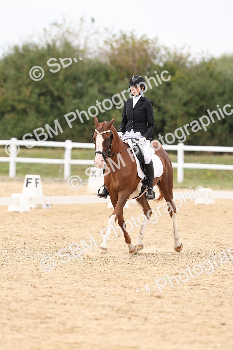 SBM_02090 - Class 8 - Novice 27 Champs