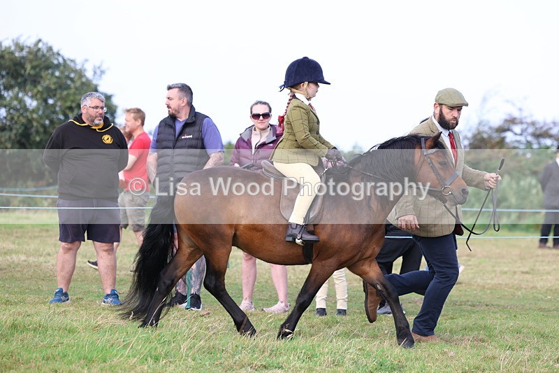 3E7A3554 - Class 2: Lead rein