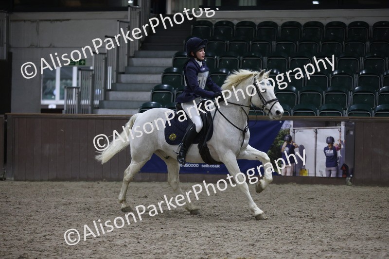 20260125-5056 - Class 5 - 80cm