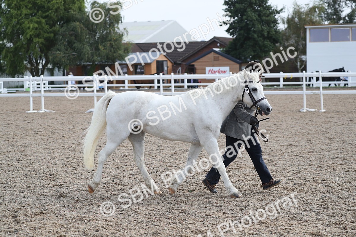 SBM_23149 - Class 605 - 2025 Area - IH Veteran