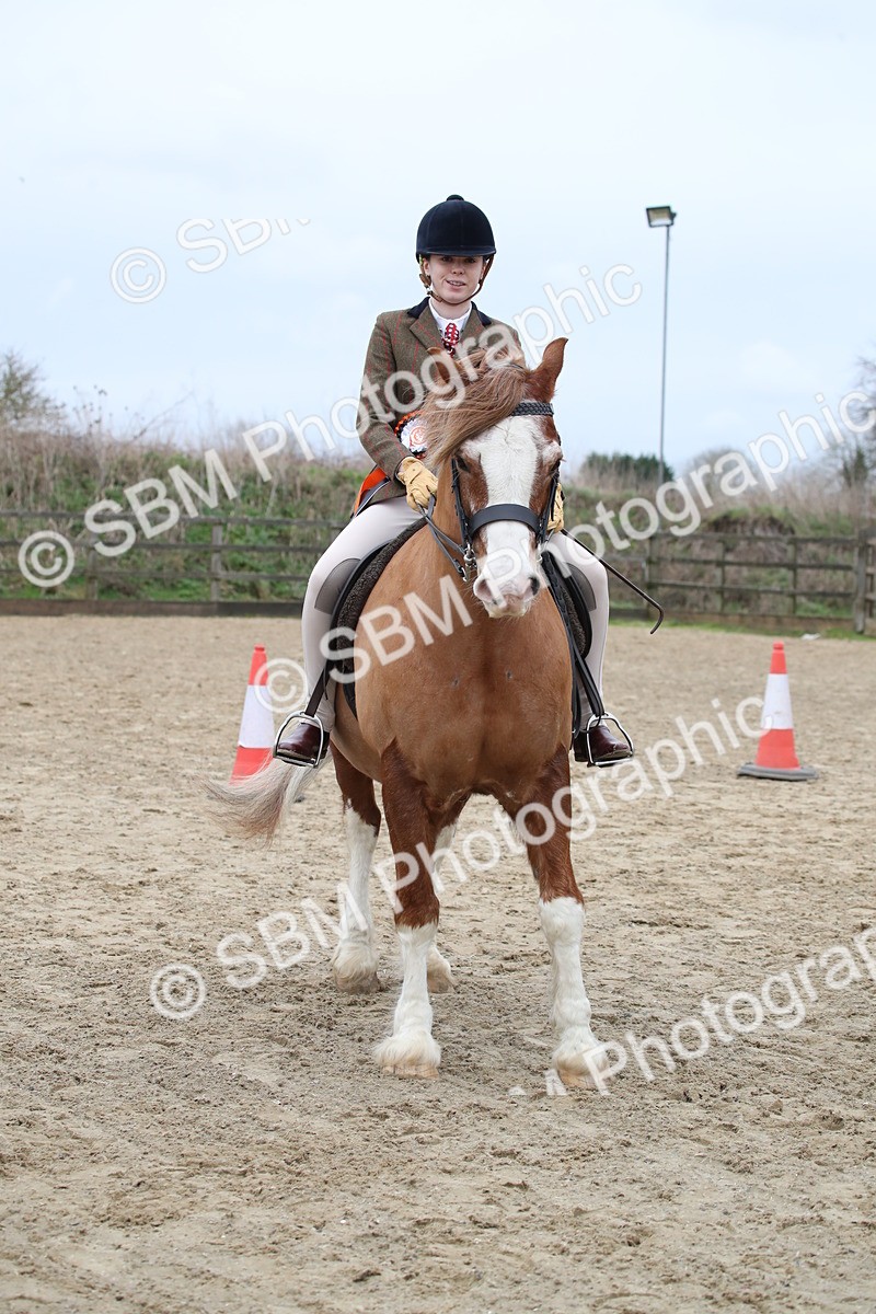 SBM_006238 - Class 10-13 - RIHS Small Large Breeds