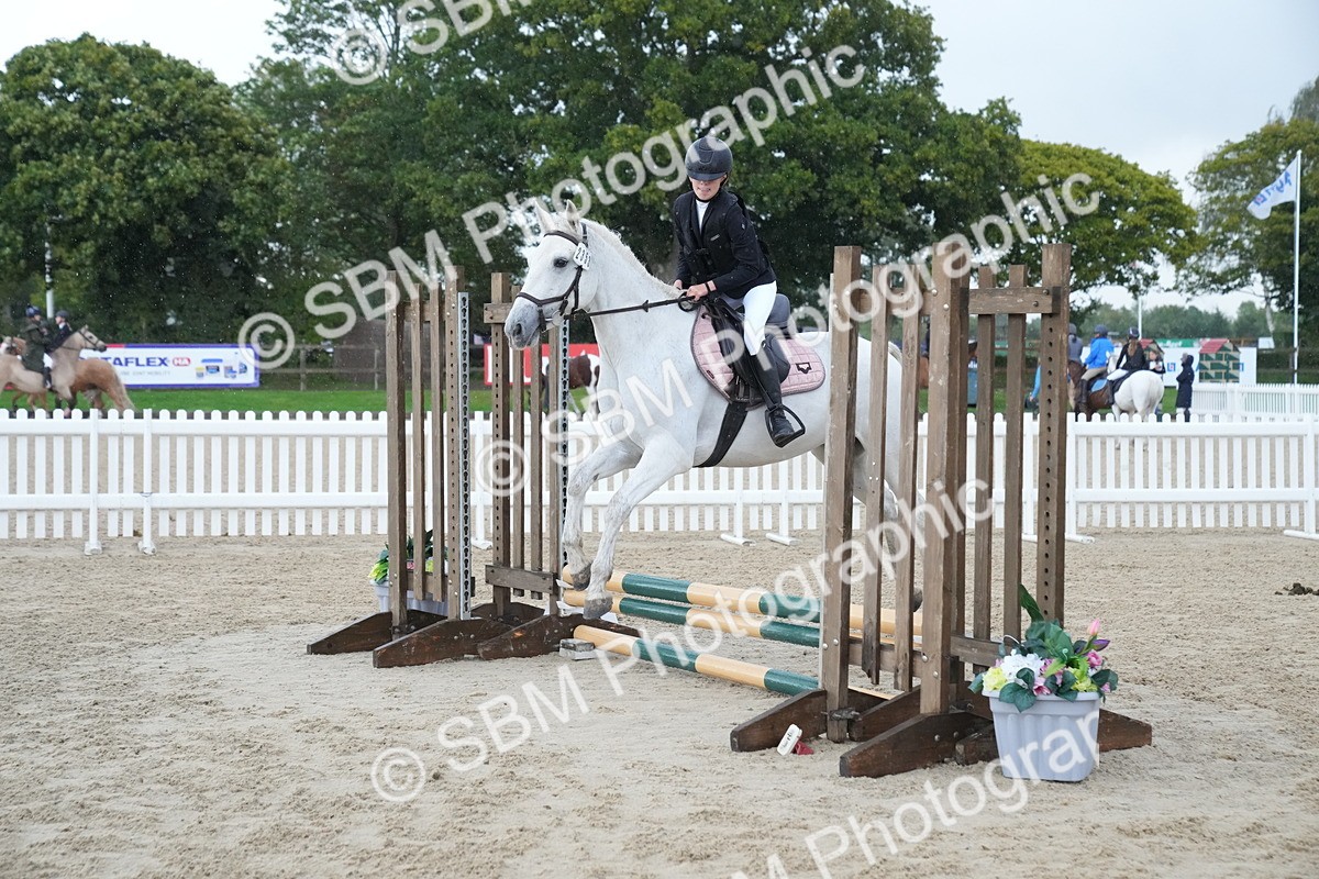 SBM_00144 - J53 - Clear Round 40cm