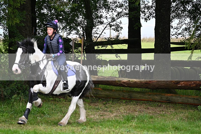 WJ7_8208 - Time 14:11 to 14:30