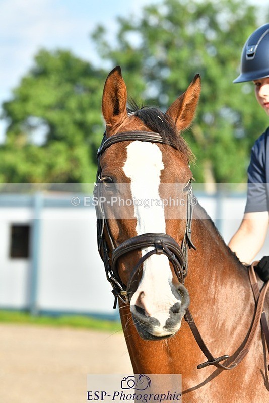 230817-083312-02410 - Stable Shots