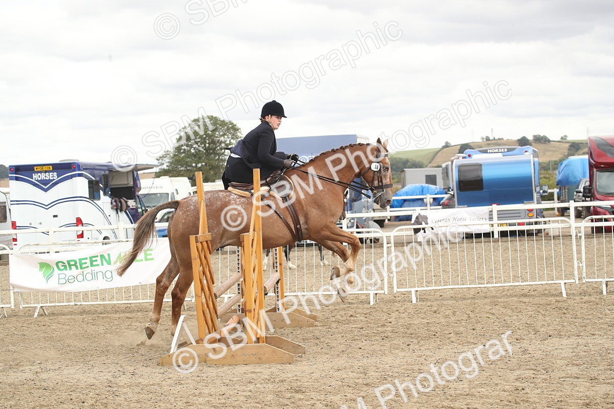 SBM_17658 - Class 508a - Working Veteran 70cm (15-19)