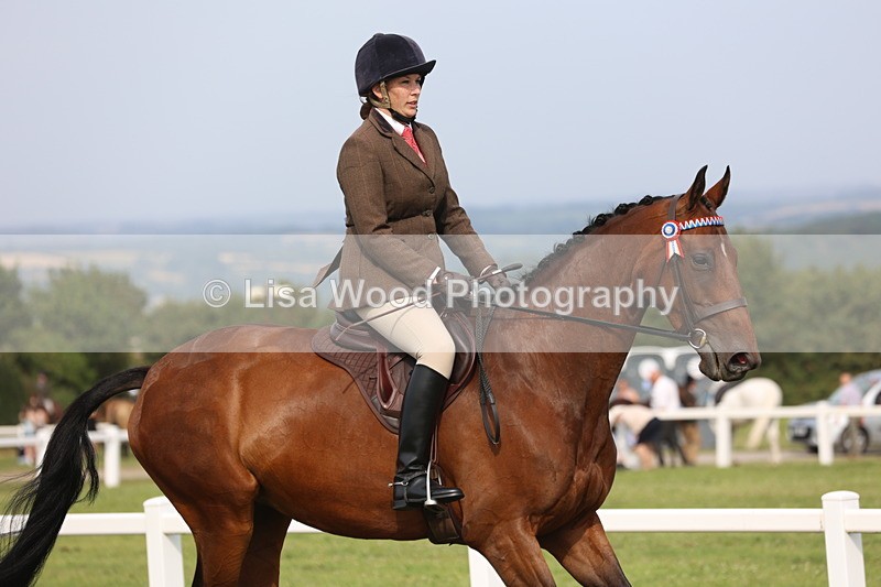 JPP_4238 - Class 25: Working Show Horse
