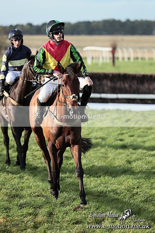 PtP 141225  1174 - New Forest Hounds PtP Larkhill 14/12/25