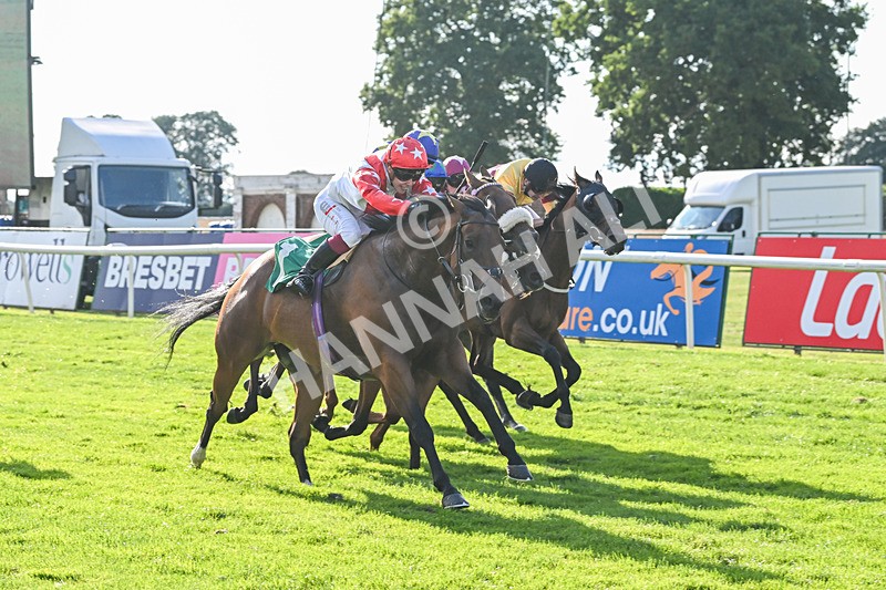 020825-Race 8-Dandy Dinmont-3907 - Race 8