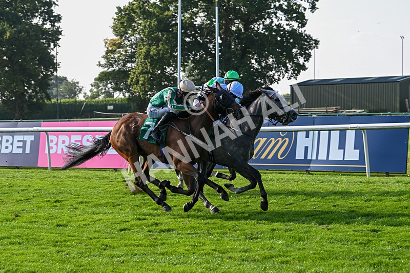 300824-Race 7-The Crafty Mole-6498 - Race 7