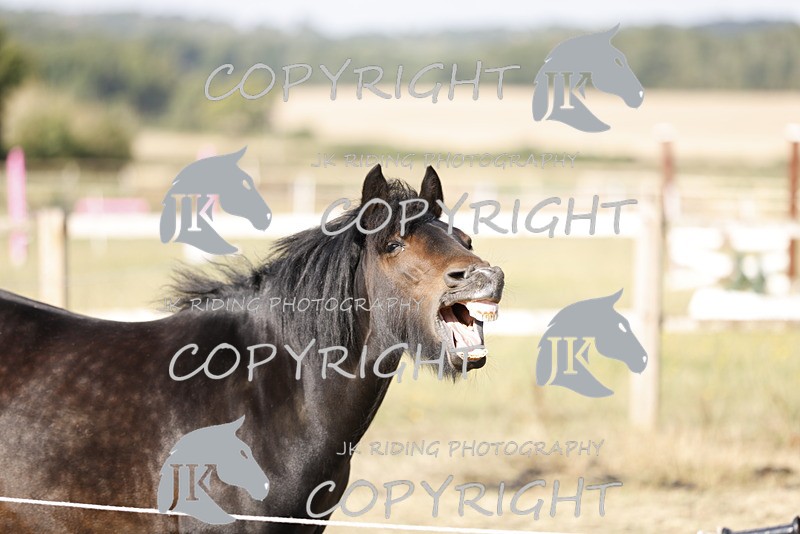 _R6A0768 - GENERAL PHOTOS