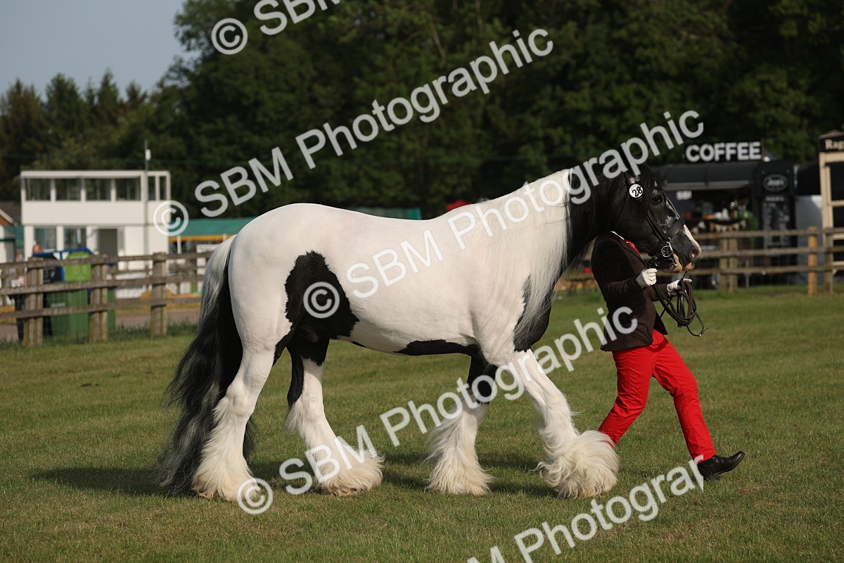 SBM_10544 - Class 33-38 - SSADL RIHS Qualifiers