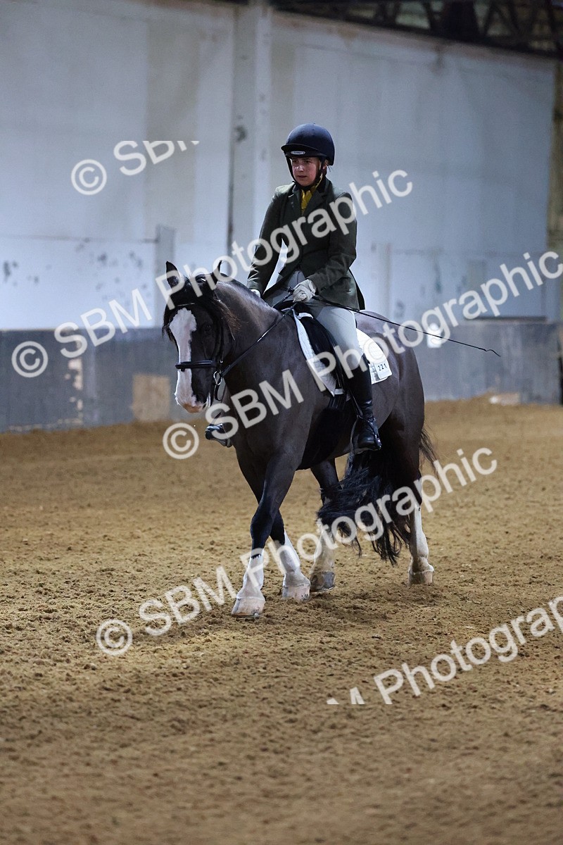 SBM_000234 - Prelim 2