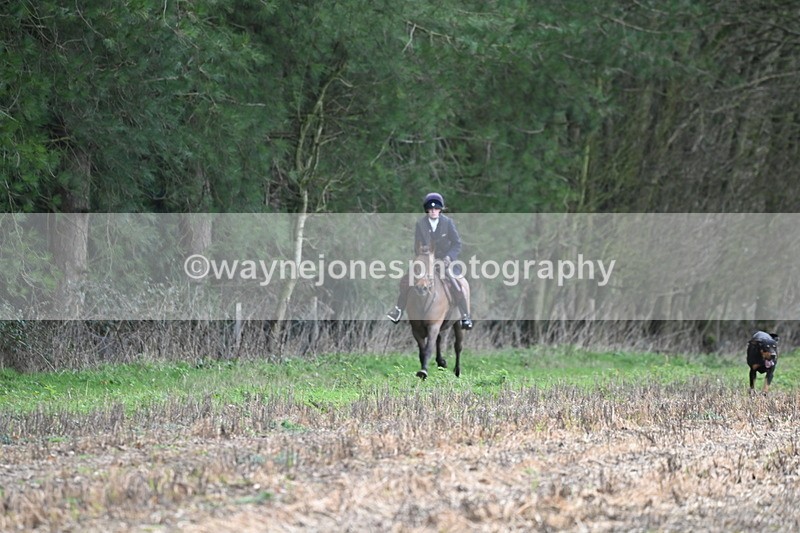 WJ6_9500 - Line Four