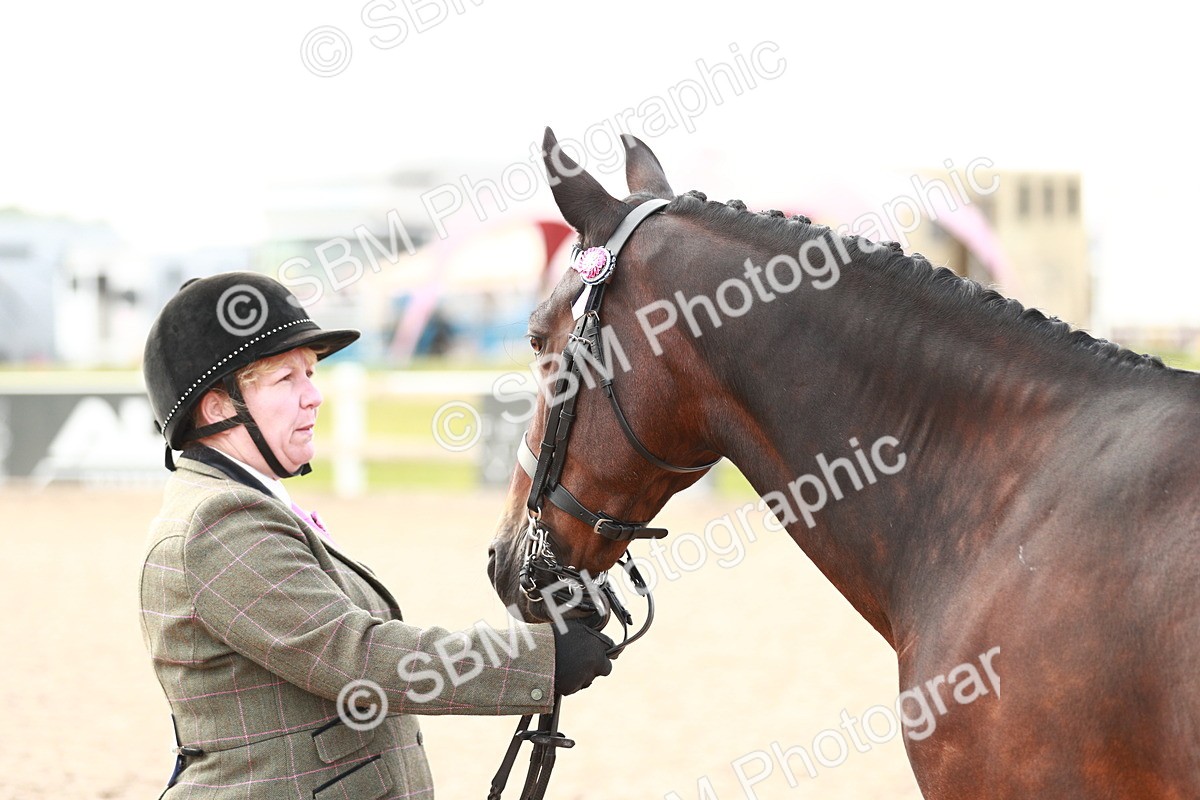 SBM_09524 - Class 201 Best Turned Out IH