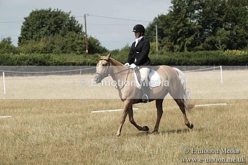 _PJP5800 - Dressage Classes BVRC Show 2018