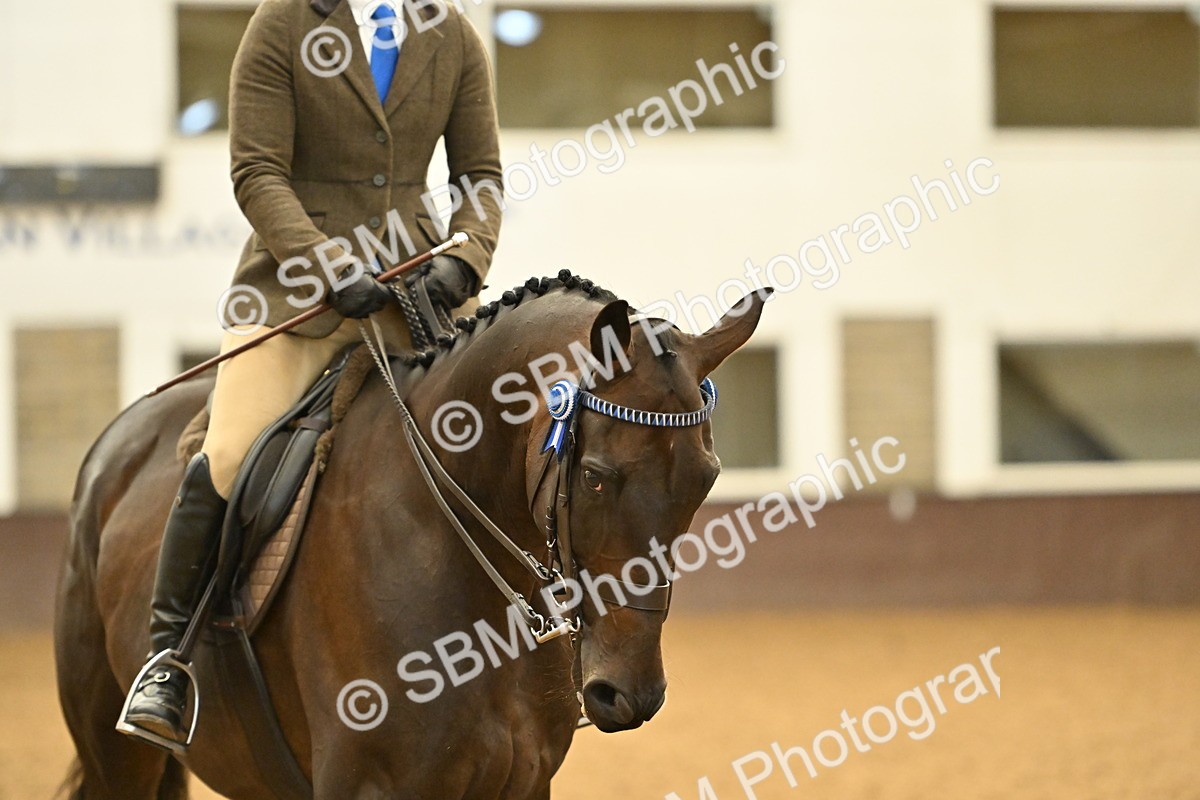 SBM_002006 - Class 24 - BSHA Ridden Racehorse to Show Horse