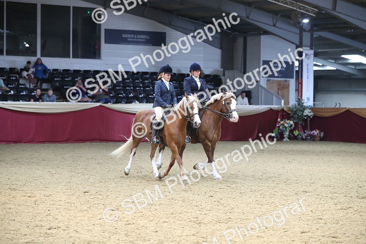 SBM_13739 - Class 109 Ridden Pairs - Section B