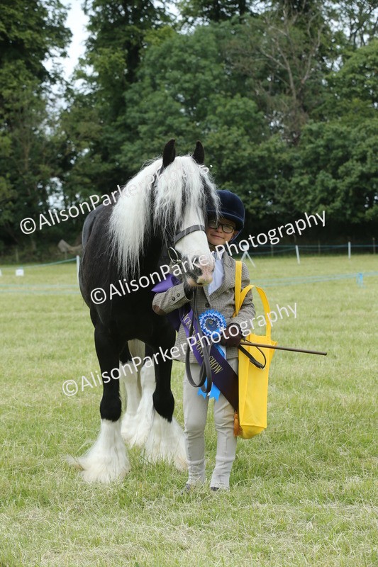 20260614-4335 - Class 18 - Best Junior Handler
