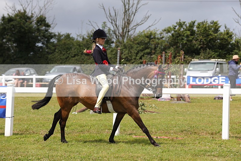 1X9A4232 - Plaited Ridden Championship