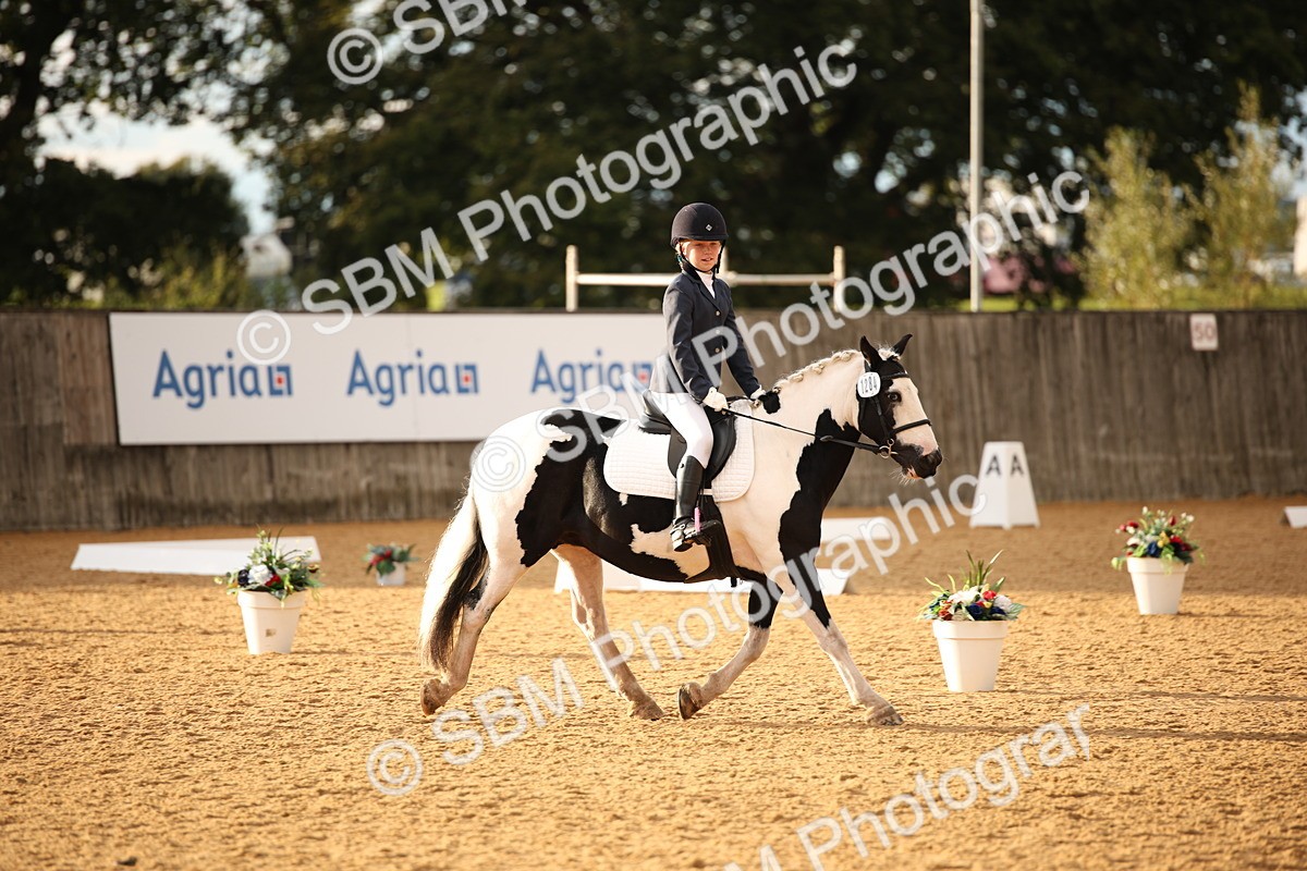 SBM_12440 - D3 Small  Tour Championship Intro A