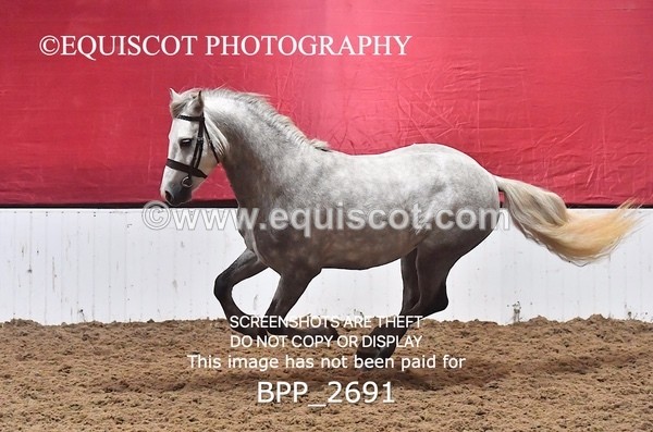 BPP_2691 - LOOSE JUMPING / SPSS