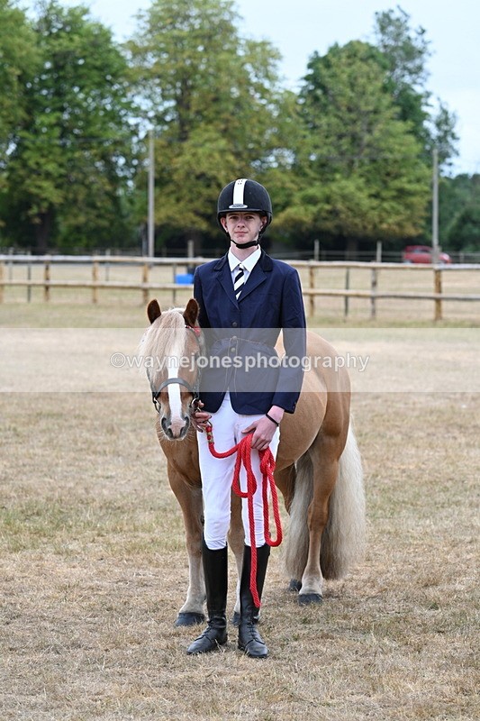 WJ7_0240 - Gelding Champs