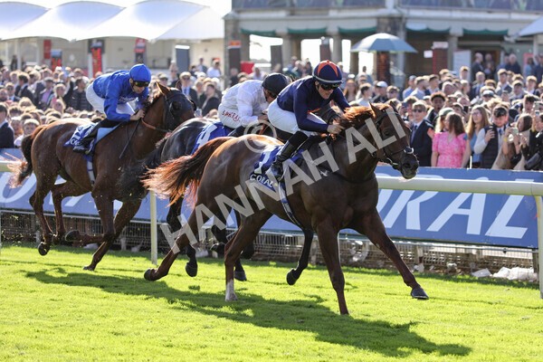 yr08102022r3-37 - Race 3 2.40pm The Coral 'Beaten-by-a-Length' Free Bet Handicap