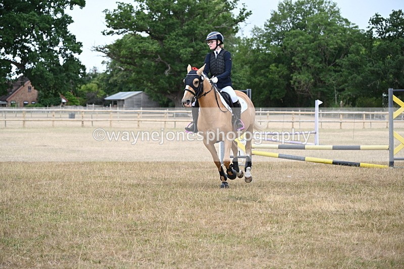 WJ6_9927 - Class 13 Novice Jumping 60cm