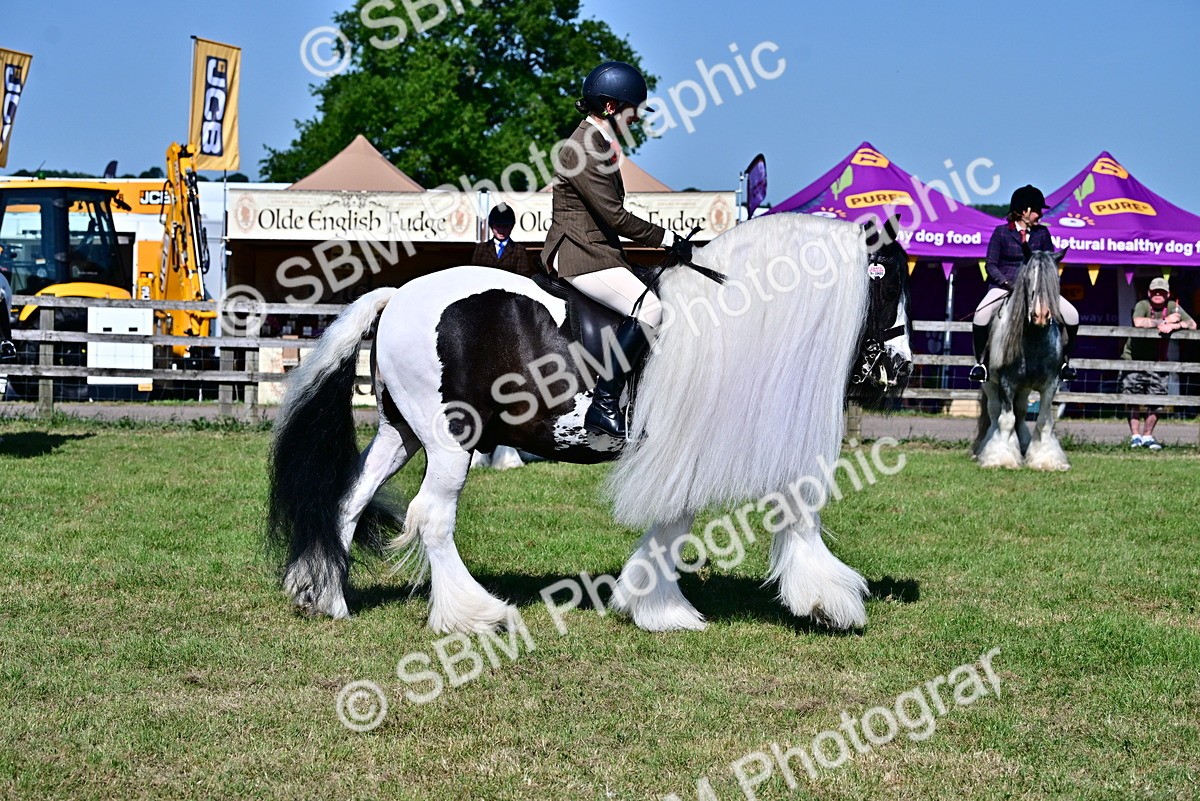 SBM_19378 - Class 101-102 - BSPS LIHS Performance Coloured Horse/Pony