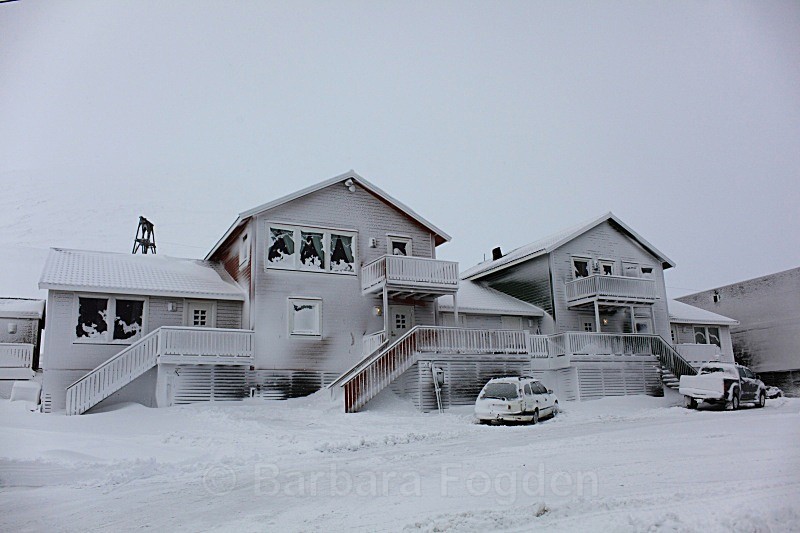 Which is my house? 5824 - Winter in the daylight