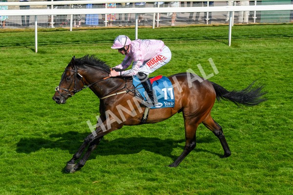 160623-Race 6-Another Investment-0704 - Race 6 4.45pm Irish Thoroughbred Marketing Handicap