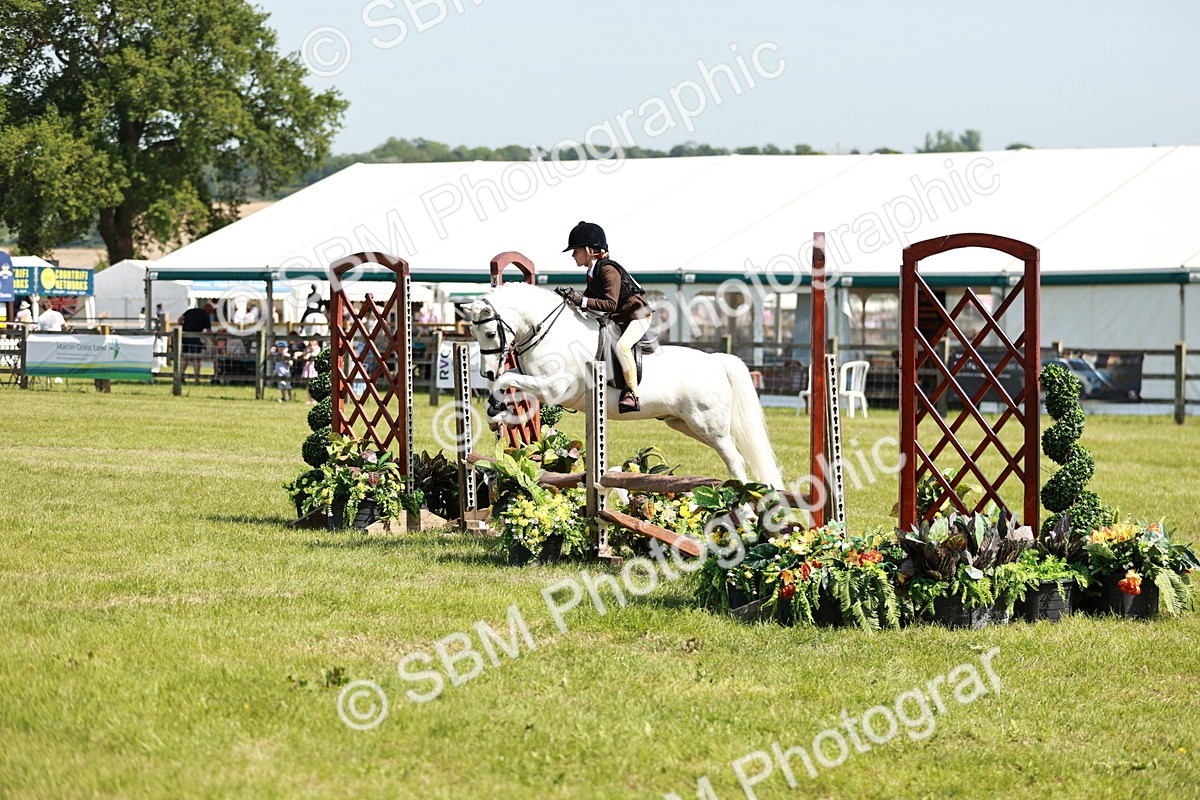 SBM_13540 - Class 108-109 - BSPS LIHS Open Gradle & Nursery Stakes