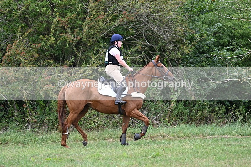 WJ7_4925 - All of 80cm