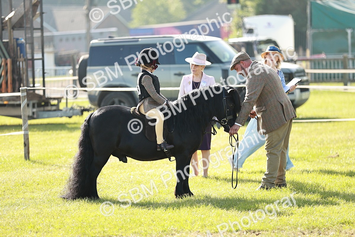 SBM_11159 - Class 106-107 - BSPS LIHS Working Sports Pony