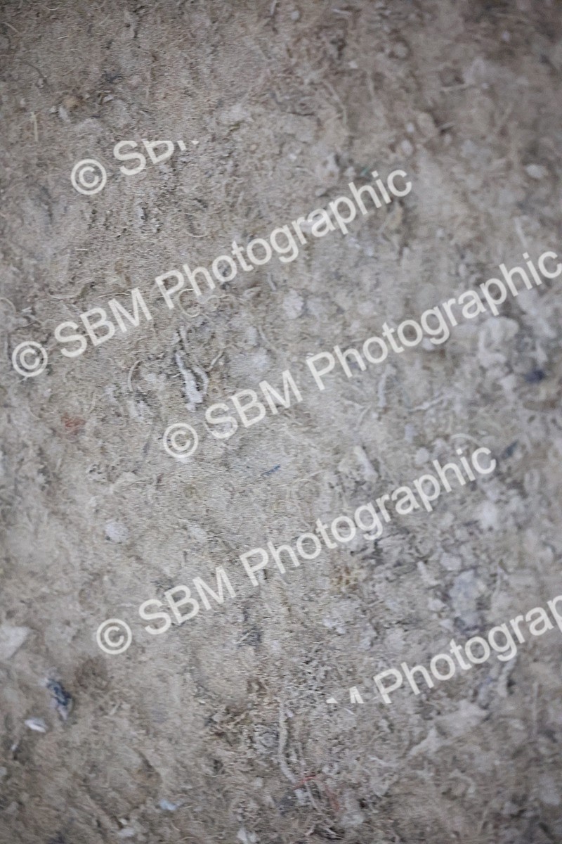 SBM_005485 - Evening Performance