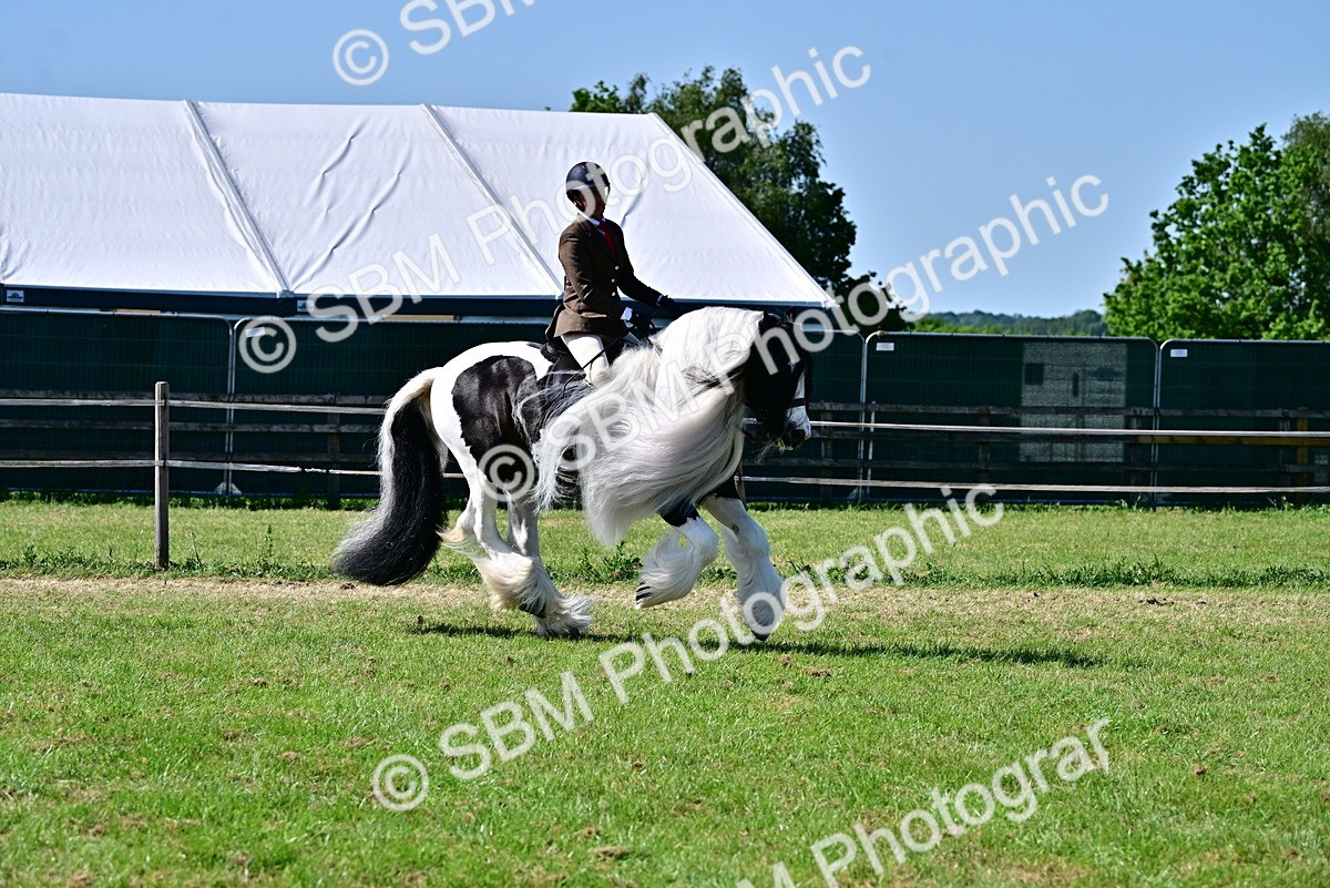 SBM_19383 - Class 101-102 - BSPS LIHS Performance Coloured Horse/Pony
