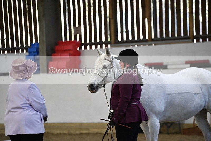 WJ5_3689 - Class 5 In Hand Veterans