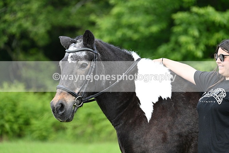 WJ7_1648 - Class 11 Condition & Turnout