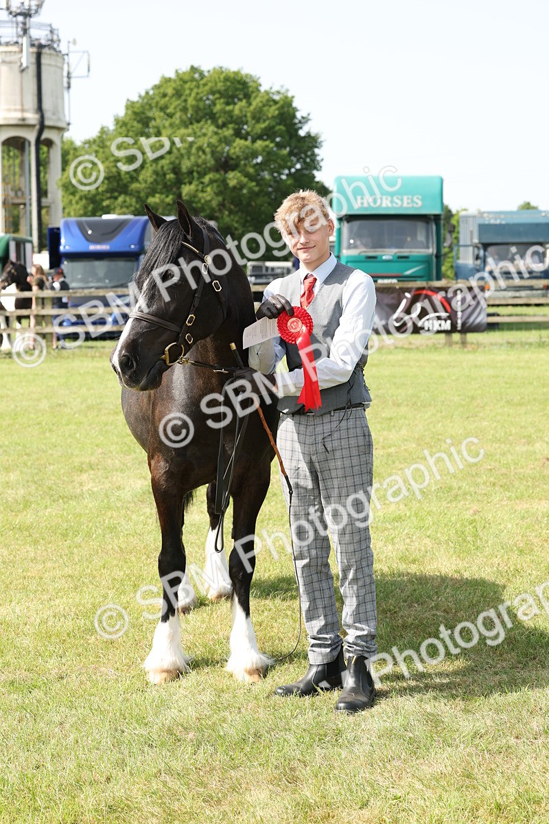 SBM_02309 - Class 6-13 - Mountatin and Moorland In Hand Welsh Breeds